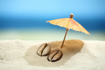 Sandy beach, sea background, beach umbrella, sea shells