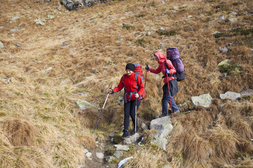 Naklejka premium Girls walk along a trail.