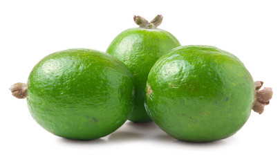 Tropical fruit feijoa Acca sellowiana