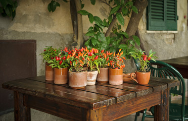 Vaso di peperoncini rossi su un tavolo di legno in una cascina