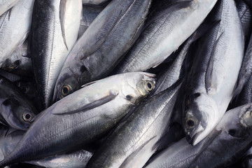 Obraz premium fresh fish as background.