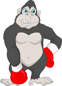 gorilla cartoon boxing
