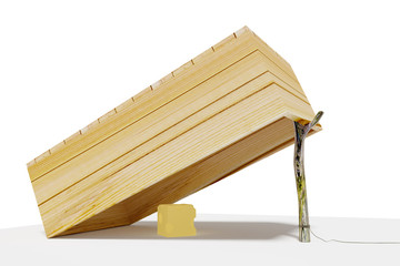Wooden box trap with cheese