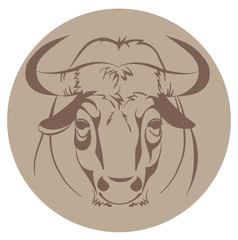 head of a bull, vector illustration