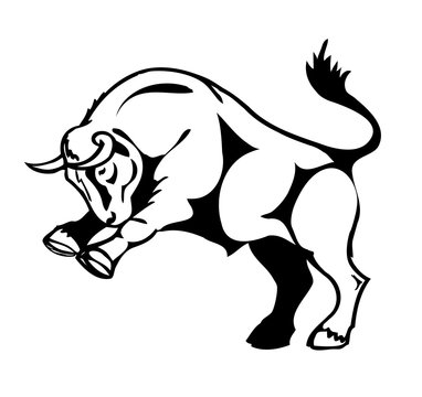 bull attacks, stylized vector illustration
