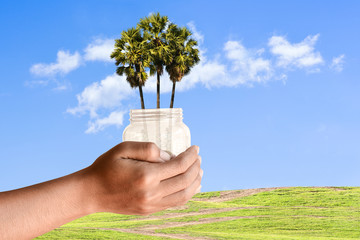 Tree and jar in human hand