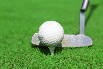 Golf club and ball on a green grass