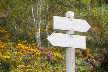 empty signpost in the mountains