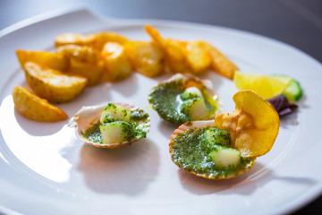 Scallops in shells with garlic butter on the plate