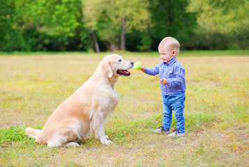 Little child playing with Labrador retriever dog together in par