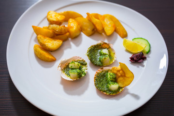Scallops in shells with garlic butter on the plate