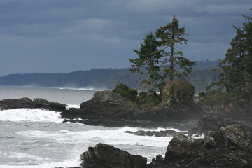 Vancouver Island coastline
