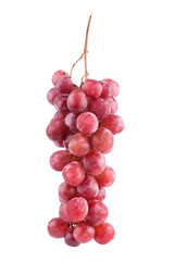 grapes isolated on over white background