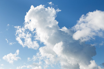 Abstract animal shape clouds in clear blue sky