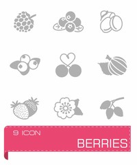 Vector Berries icon set