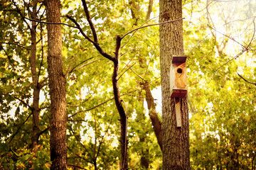 Birdhouse in a tree