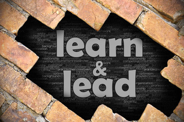 Hole in the brick wall with word learn and lead
