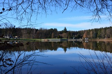 Obraz premium Naturlandschaft am See mit Baumspiegelung