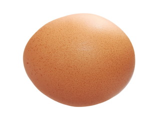 close up of egg isolated on white background, with clipping path
