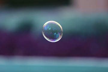 Soap bubble outdoor