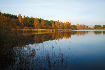 Autumn landscape with a lake. Clear sunny weather. Reflection of trees in calm water.