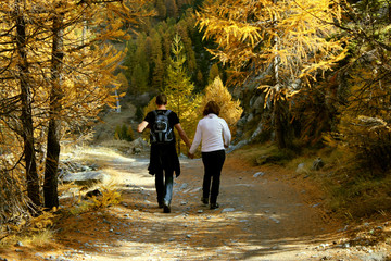 Fototapeta premium Couple hiking in the forest in the mountains