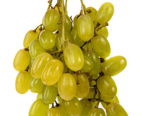 Bunch of grapes
