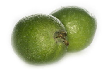 feijoa isolated