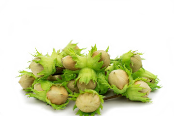 green hazel nuts