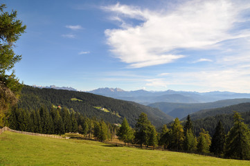 Bergwiese mit Wald und Dolomiten