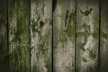 green wooden texture