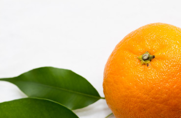 isolated clementine on  a white background 