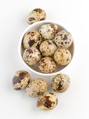 Obraz premium bowl of fresh quail eggs