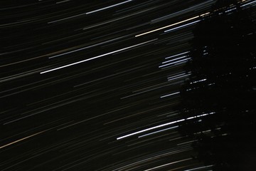 Star Trails Horizontal Evergreen