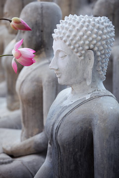 lotus flower with buddha image