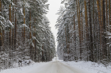 Дорога вдаль