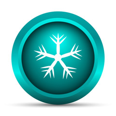 Snowflake icon