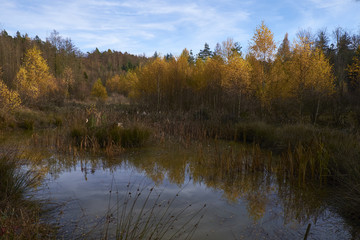 Fototapeta na wymiar Nördlicher Steigerwald im Herbst, Unterfranken, Bayern, Deutsch