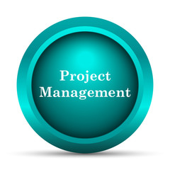 Project management icon