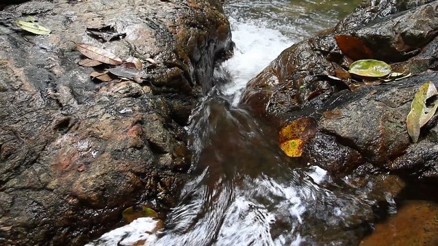     Clean fresh flowing water of a forest stream running over mossy rocks 