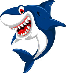 cute angry shark