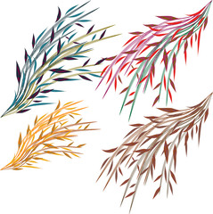 Salkım Söğüt Ağaç Dalları ve Yaprakları