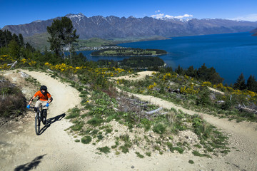 Mountain bike rider on bike path in Queenstown, New Zealand