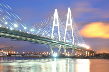 Fototapeta na wymiar Cable stayed bridge at night.