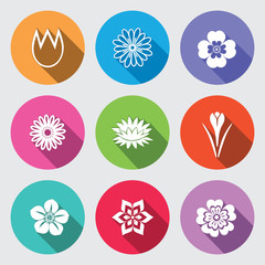 Fototapeta na wymiar Botany flower set. Tulip camomile daisy petunia chrysanthemum orchid forget-me-not lily, water-lily crocus saffron. Floral herbs symbol. Round blue icons with long shadow. Vector