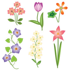 Flower set. Tulip, camomile daisy petunia orchid lily, bird cherry. Colored  floral symbols with leaves. Vector isolated