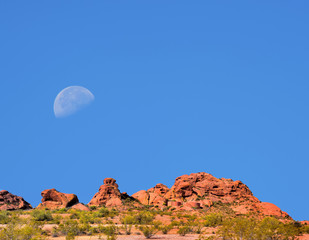 Sonora Desert Moon