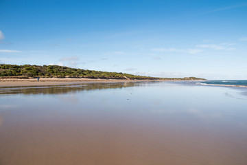  full of tourists Coast Beach