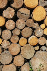 heap of wooden logs