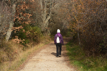Obraz premium caminando por la ruta del ferrocarril minero en Burgos